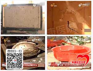 ����Ů�Ӽ���ˤ�� ���˿಻�������񿵷�ƶ����